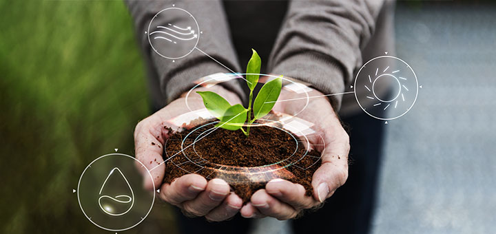 financial information