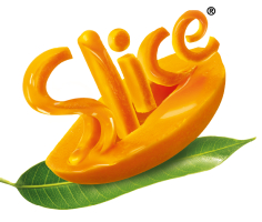 slice